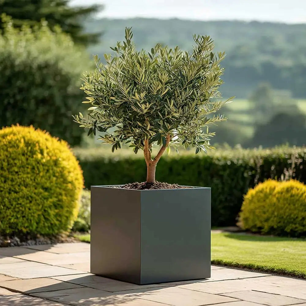 jitoossheed 60cm Zinc Galvanised Matte Grey Square Planter